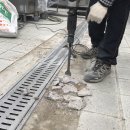 안암초등학교 이미지