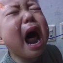 배영유치원 네이버블로그