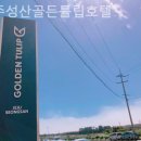 성산골든펜션 | 제주 서귀포 호텔 제주성산골든튤립호텔 여행기뷰맛집체험후기