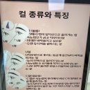 화성속눈썹전문 [데이나래쉬] - 속쌍커플 C자형 속눈썹펌 생생한 실후기