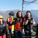 메밀꽃마을 이미지