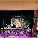 솜마-가 이미지