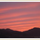 지리산약초 이미지