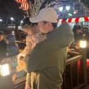 부메랑게임랜드 이미지