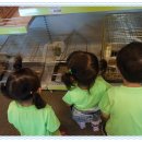 월평동물병원 이미지