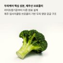 모두의순간 | 두피가 편해지는 순간, 닥터모두 비건샴푸 사용후기 (민감성 두피케어 추천)