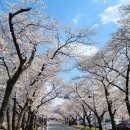 김유신장군로 이미지