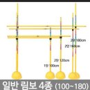 윷놀이,림보,다트,앉아윗몸앞으로굽히기 측정 이미지