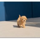 연제종합동물병원 이미지