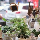 메리제이 이미지