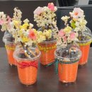 실버인지놀이지도사 1급 이미지