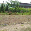 솔바람민박 이미지