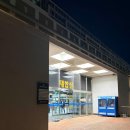 부산 여행코스 광안대교 뷰 불꽃크루즈 펜스타크루즈 그레이스호 야경, 디너, 주차 한번에 정리
