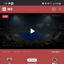 네일볼라