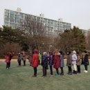 강남게이트볼장 Daum카페