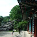 양산신-1022 이미지