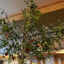 오로라 | [석촌] 석촌 돈까스 맛집, 경양식 오로라 후기