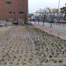 탕정면주민센터 이미지