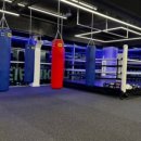 용인대SM복싱클럽 장기점 이미지