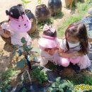 벽산유치원 이미지