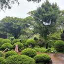 비 오는 제주, 아이와 함께라면? 실패 없는 '스누피 가든' 방문기