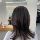 일산로636번길 이미지