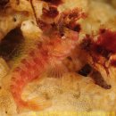 원장목장 이미지