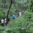 청태산 치유의 숲 이미지