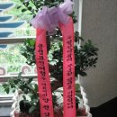 (주)명진약품 이미지