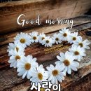 꽃피는하루
