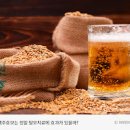 맥주효모 맥주 효모환 탈모 이미지