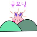 마켓통통 이미지