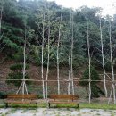 호텔 나무(Hotel Namoo) 이미지