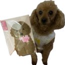 딸램들램 | 2024 Marrr