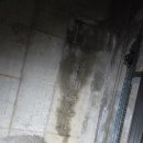 (주)디에스컴퍼니 이미지