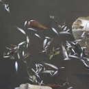 중산천 이미지