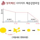 경희한방한약국 이미지
