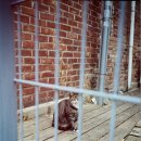 똑똑한 인스타그램 활용법 이미지