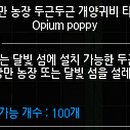 두근두근낭만상점