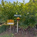 예심농장 이미지