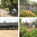 일죽공인중개사사무소 이미지