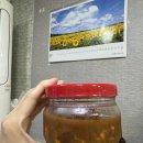 주문진해물국수