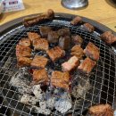 셀도락 | 갈비도락 탄현점 돼지갈비 & 냉면 후기, 탄현동 맛집