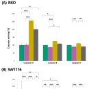 K-Diet | 대장암 세포에서 티모퀴논에 의해 유도되는 세포주별 세포 사멸 경로
