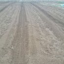 청라농장 이미지