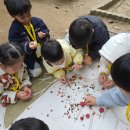 마천어린이집 이미지