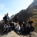 숲길등산지도사로 할 수있는일 이미지