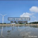 GS25 시화파인힐점 | 대부도 방아머리 해수욕장 주차, 물때 시간, 텐트 및 타프 설치 가능 여부