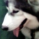 대창동010 이미지