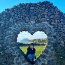 제주의휴일 이미지